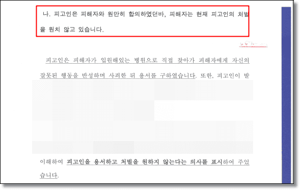 뺑소니 변호인의견서 1