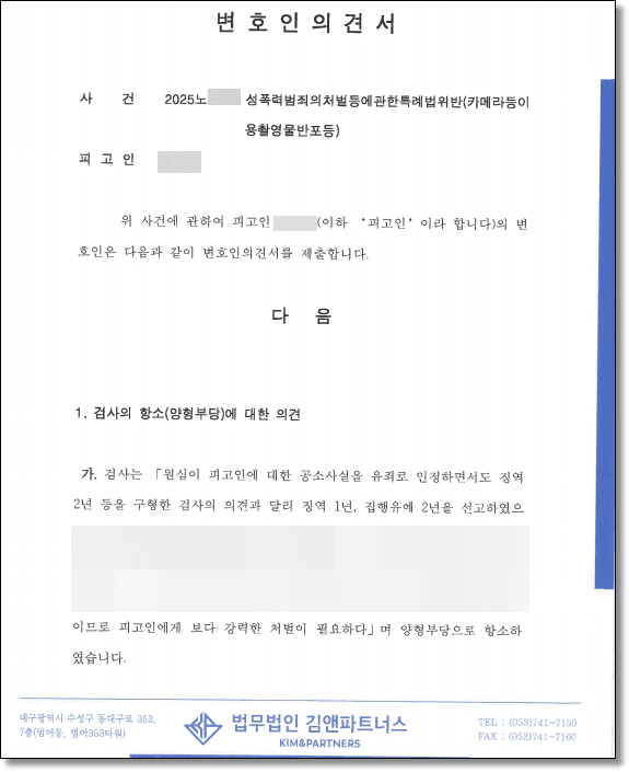 카메라등이용촬영물 제공 변호인의견서 1