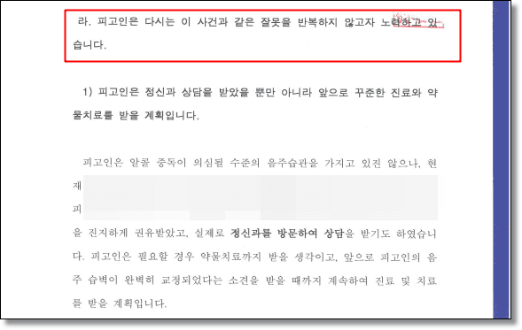 뺑소니 변호인의견서 2