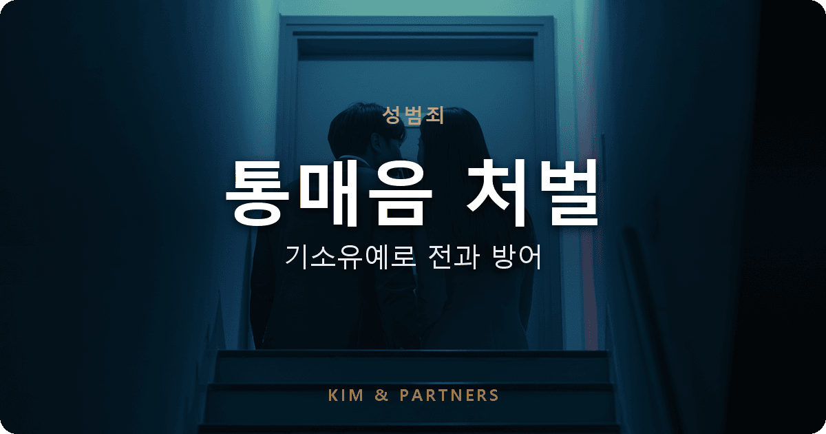 통매음 처벌, 인스타 DM으로 고소당했지만 기소유예로 전과를 막은 사례