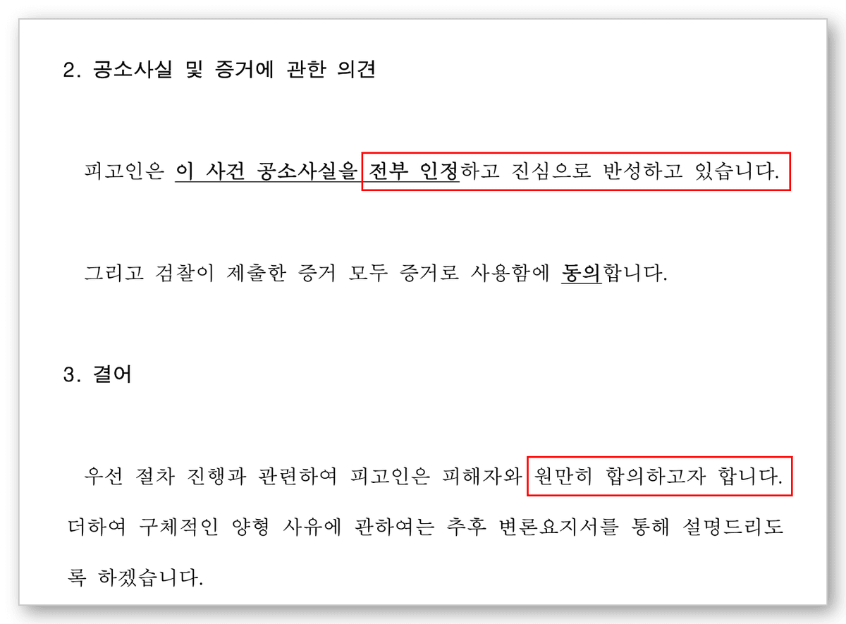 아청법 변호사 변호인의견서