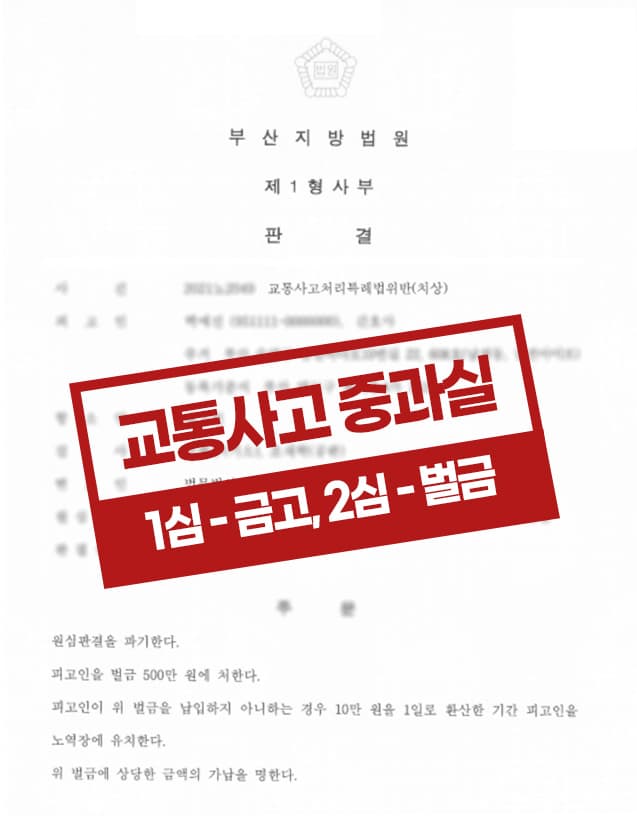 신호위반교통사고 항소 벌금 사례