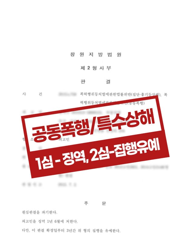 공동폭행/특수상해 항소 집행유예 사례