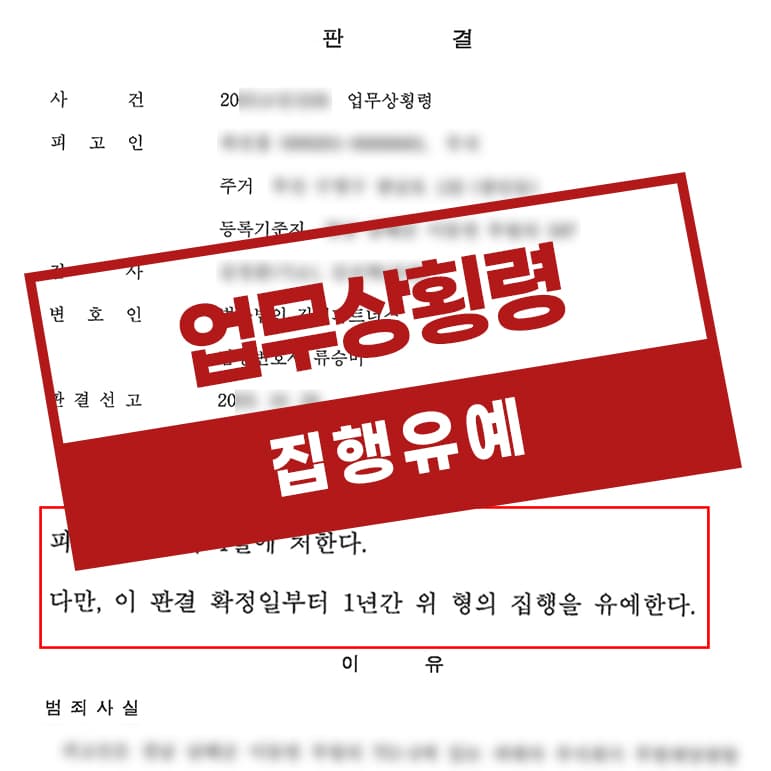 업무상횡령 1인기업횡령 집행유예