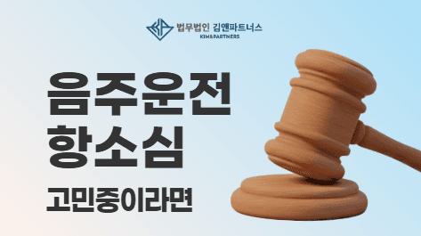 음주운전 항소, 지금이 마지막 기회일지도 모릅니다
